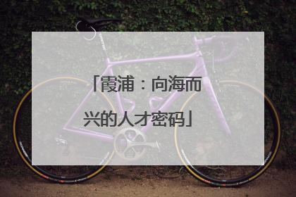 霞浦：向海而兴的人才密码