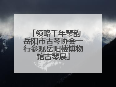 领略千年琴韵 岳阳市古琴协会一行参观岳阳楼博物馆古琴展