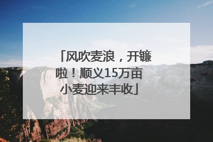 风吹麦浪，开镰啦！顺义15万亩小麦迎来丰收