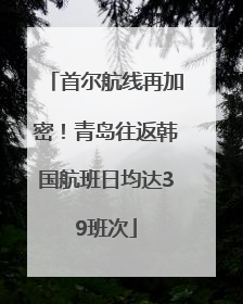首尔航线再加密！青岛往返韩国航班日均达39班次