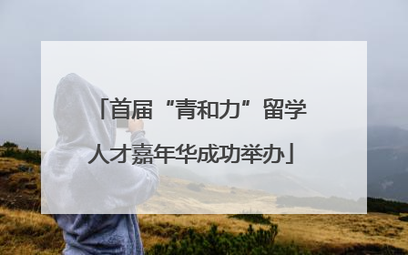 首届“青和力”留学人才嘉年华成功举办