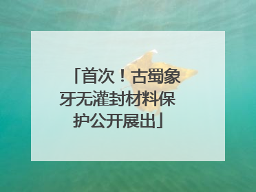 首次！古蜀象牙无灌封材料保护公开展出