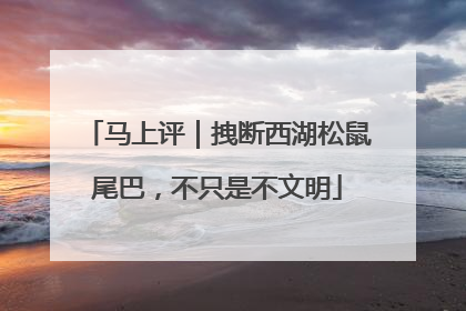 马上评｜拽断西湖松鼠尾巴，不只是不文明
