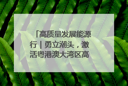 高质量发展能源行｜勇立潮头，激活粤港澳大湾区高质量发展动力源