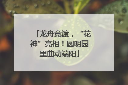 龙舟竞渡，“花神”亮相！圆明园里曲动端阳
