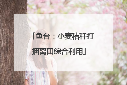 鱼台：小麦秸秆打捆离田综合利用