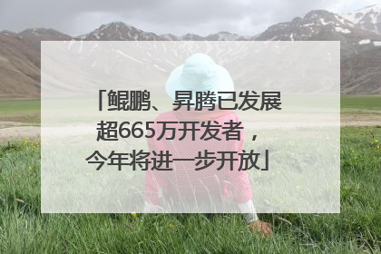鲲鹏、昇腾已发展超665万开发者，今年将进一步开放