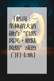 鹤岗：一条林荫大道融合“自然风光＋欧陆风情”成热门打卡地