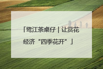 鹭江茶桌仔｜让赏花经济“四季花开”