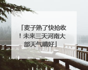 麦子熟了快抢收！未来三天河南大部天气晴好