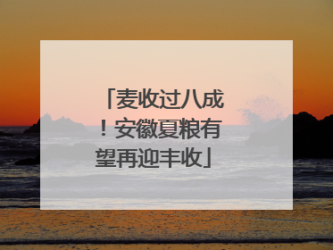 麦收过八成！安徽夏粮有望再迎丰收