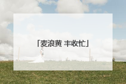 麦浪黄 丰收忙