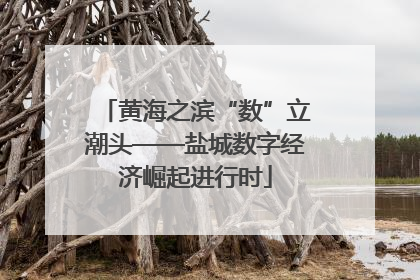 黄海之滨“数”立潮头——盐城数字经济崛起进行时