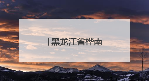 黑龙江省桦南县开展“父爱如山 真情相伴”志愿服务活动