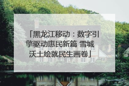 黑龙江移动：数字引擎驱动惠民新篇 雪城沃土绘就民生画卷