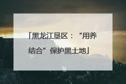 黑龙江垦区：“用养结合”保护黑土地