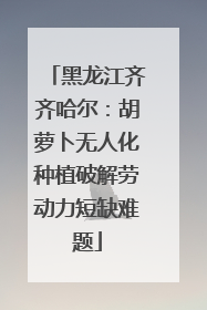 黑龙江齐齐哈尔：胡萝卜无人化种植破解劳动力短缺难题