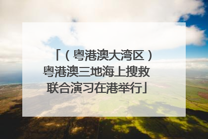 （粤港澳大湾区）粤港澳三地海上搜救联合演习在港举行