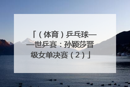 （体育）乒乓球——世乒赛：孙颖莎晋级女单决赛（2）