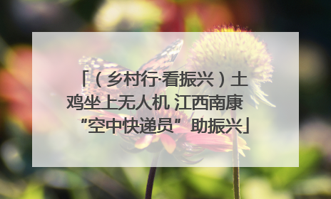 （乡村行·看振兴）土鸡坐上无人机 江西南康“空中快递员”助振兴