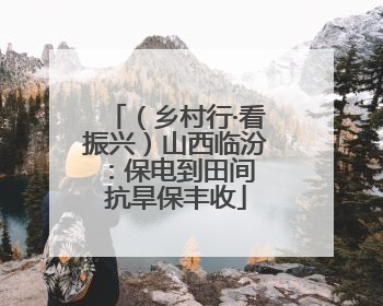 （乡村行·看振兴）山西临汾：保电到田间 抗旱保丰收