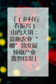 （乡村行·看振兴）山西天镇：设施农业“棚”勃发展 辣椒产业蓄势待发