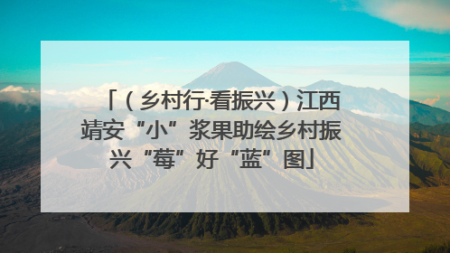 （乡村行·看振兴）江西靖安“小”浆果助绘乡村振兴“莓”好“蓝”图