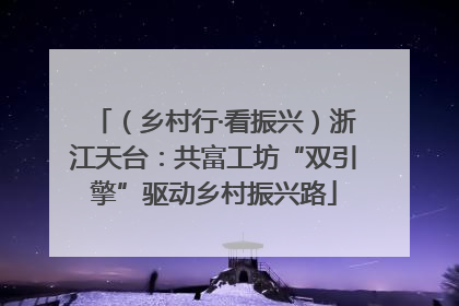 （乡村行·看振兴）浙江天台：共富工坊“双引擎”驱动乡村振兴路