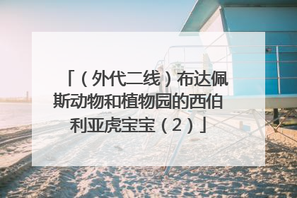 （外代二线）布达佩斯动物和植物园的西伯利亚虎宝宝（2）