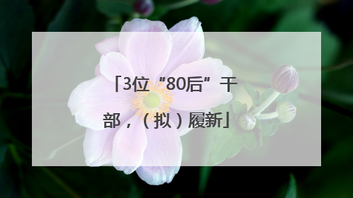 3位“80后”干部，（拟）履新