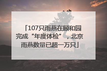 107只雨燕在颐和园完成“年度体检”，北京雨燕数量已超一万只