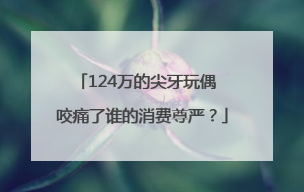 124万的尖牙玩偶 咬痛了谁的消费尊严？