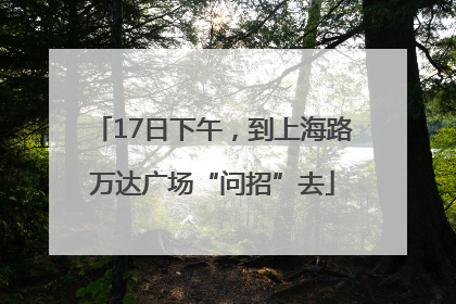 17日下午，到上海路万达广场“问招”去