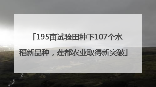 195亩试验田种下107个水稻新品种，莲都农业取得新突破