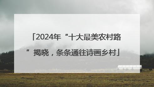 2024年“十大最美农村路”揭晓，条条通往诗画乡村
