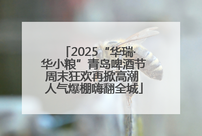 2025“华瑞·华小粮”青岛啤酒节周末狂欢再掀高潮 人气爆棚嗨翻全城