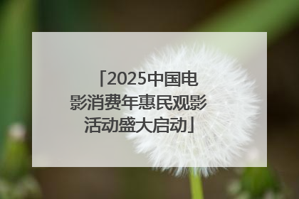 2025中国电影消费年惠民观影活动盛大启动