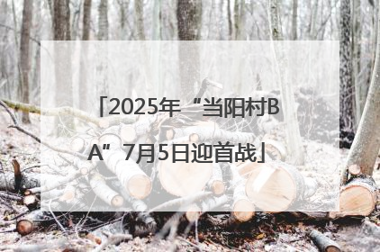 2025年“当阳村BA”7月5日迎首战