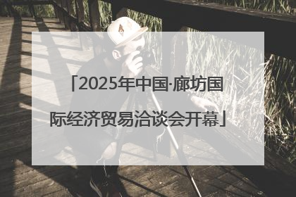 2025年中国·廊坊国际经济贸易洽谈会开幕