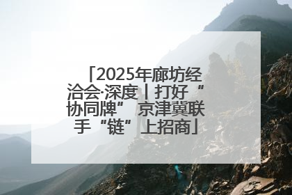 2025年廊坊经洽会·深度丨打好“协同牌” 京津冀联手“链”上招商