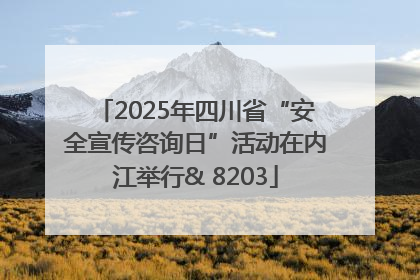 2025年四川省“安全宣传咨询日”活动在内江举行& 8203