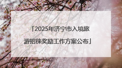 2025年济宁市入境旅游招徕奖励工作方案公布