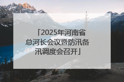 2025年河南省总河长会议暨防汛备汛调度会召开
