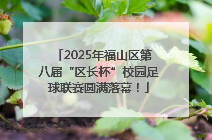 2025年福山区第八届“区长杯”校园足球联赛圆满落幕！