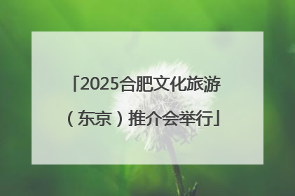 2025合肥文化旅游（东京）推介会举行