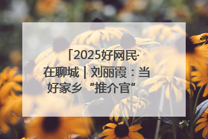 2025好网民·在聊城｜刘丽霞：当好家乡“推介官” 秀出乡村新风貌