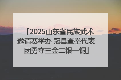 2025山东省民族武术邀请赛举办 冠县查拳代表团勇夺三金二银一铜