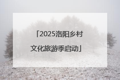 2025洛阳乡村文化旅游季启动