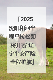 2025沈阳和河半程马拉松即将开赛 辽宁平安产险全程护航