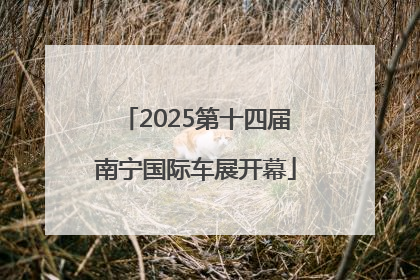 2025第十四届南宁国际车展开幕